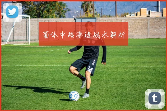 葡体中路渗透战术解析