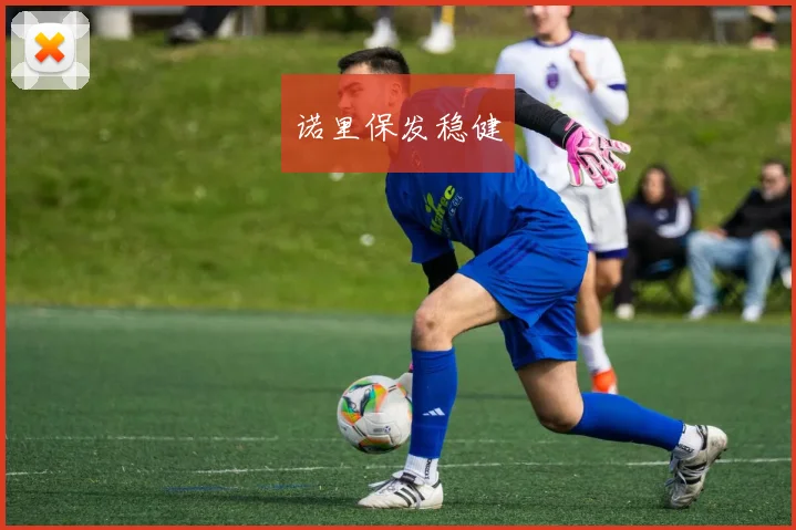 诺里保发稳健