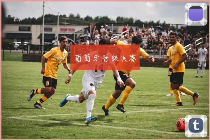 葡萄牙晋级决赛
