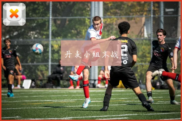 丹麦小组末战