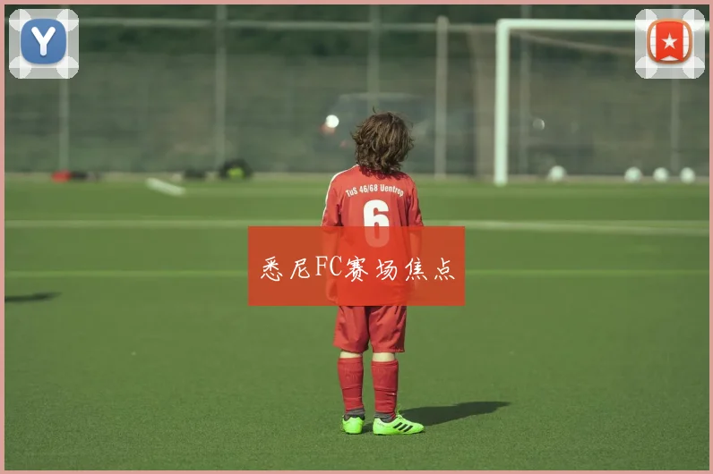 悉尼FC赛场焦点