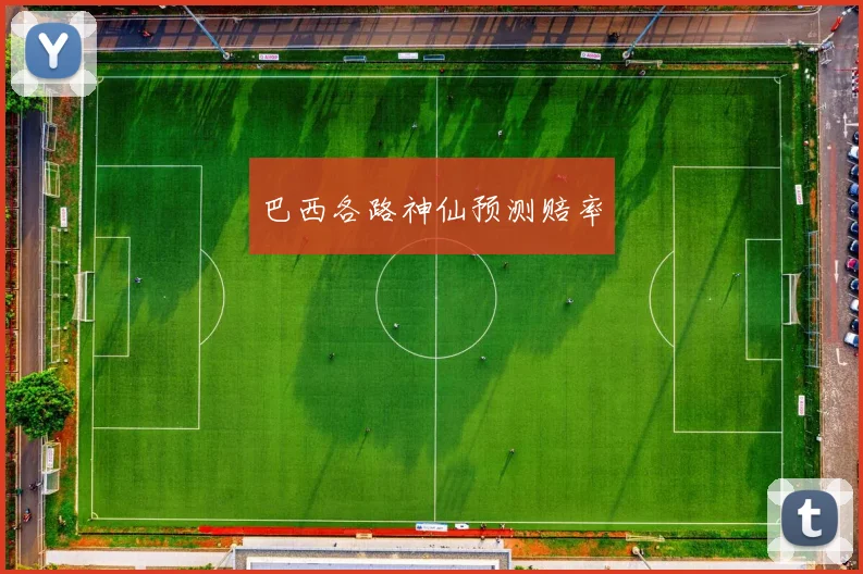 巴西各路神仙预测赔率