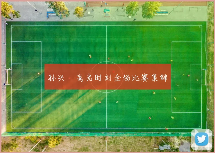 孙兴慜高光时刻全场比赛集锦