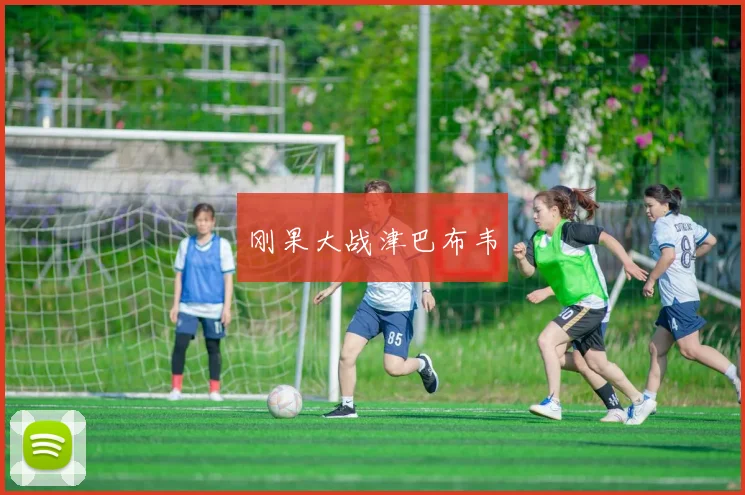 刚果大战津巴布韦