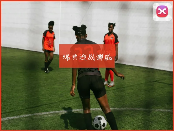 瑞典迎战挪威