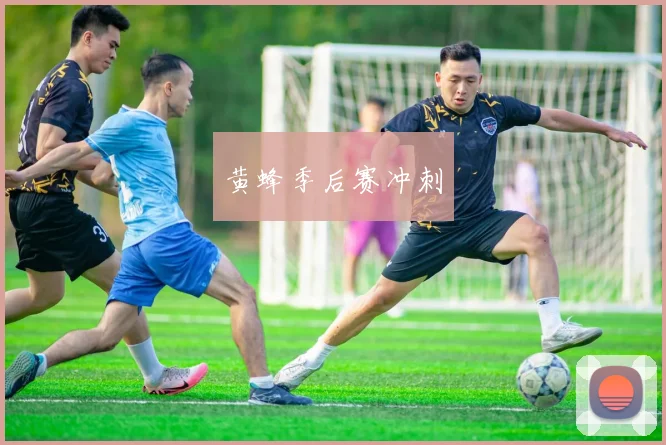 黄蜂季后赛冲刺
