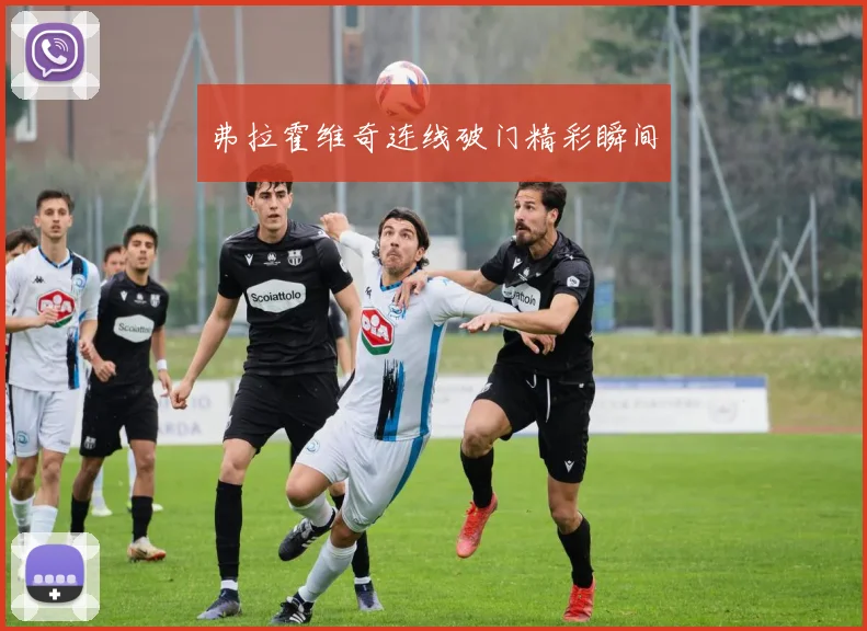 弗拉霍维奇连线破门精彩瞬间
