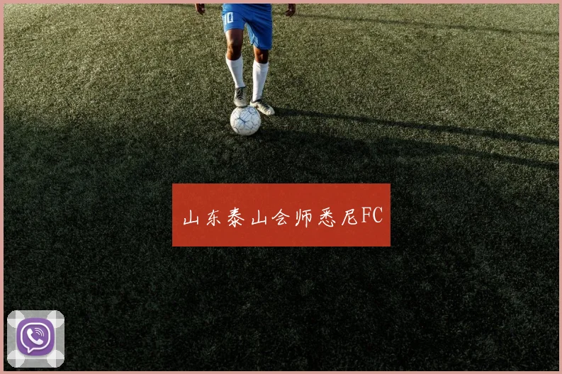山东泰山会师悉尼FC