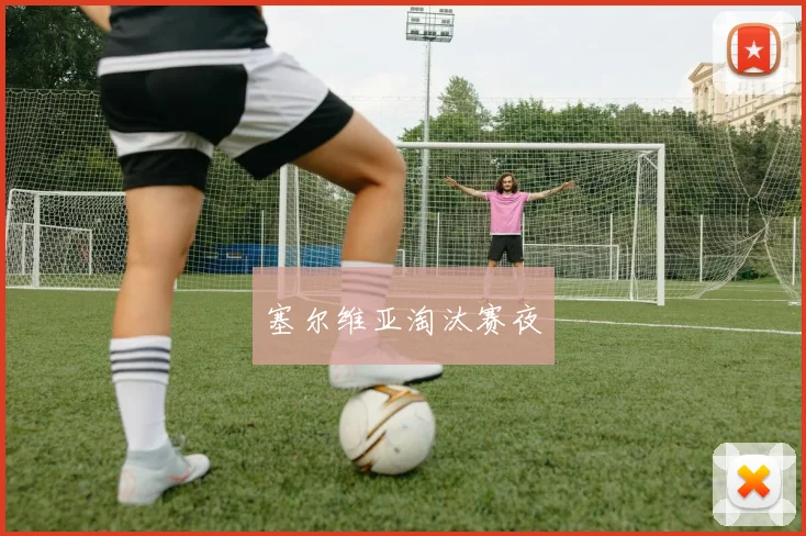 塞尔维亚淘汰赛夜