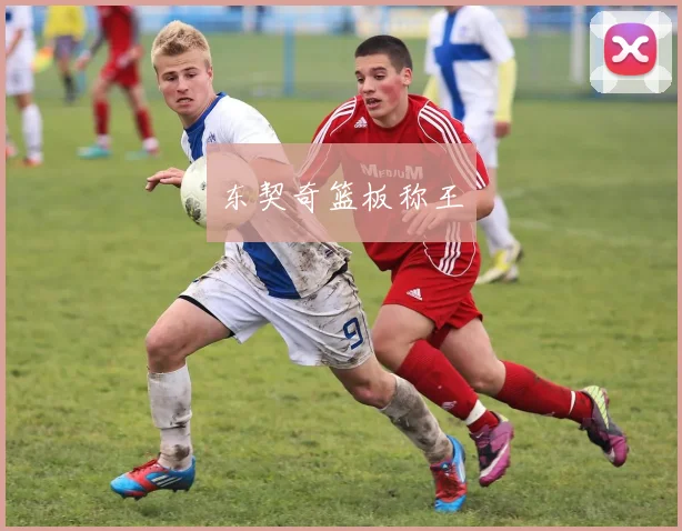 东契奇篮板称王