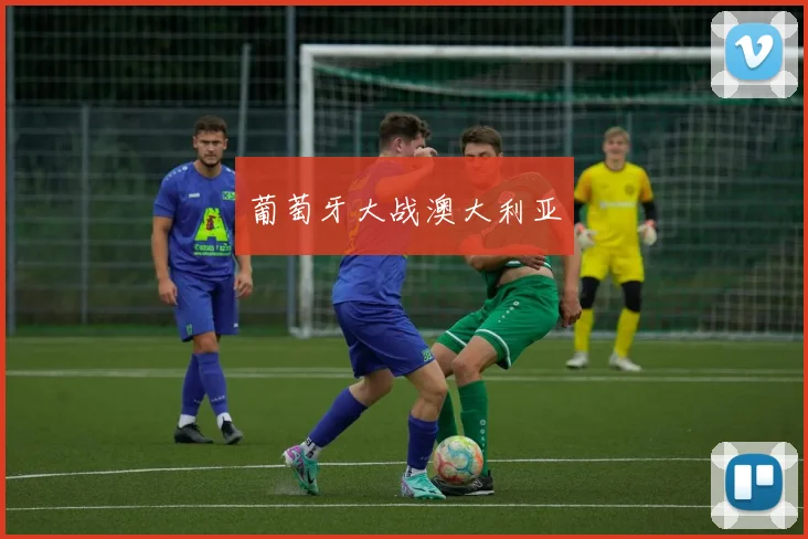 葡萄牙大战澳大利亚