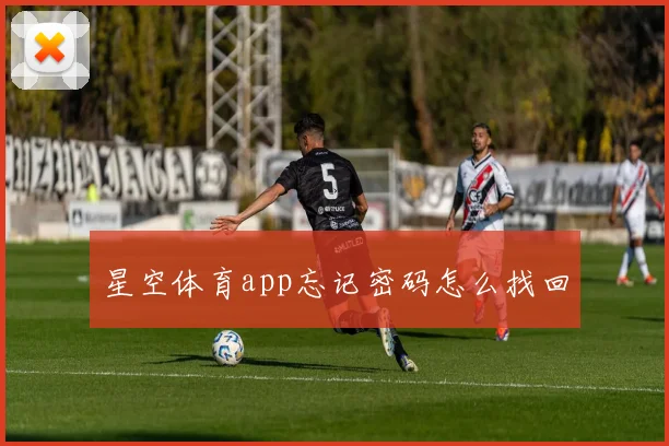 星空体育app忘记密码怎么找回