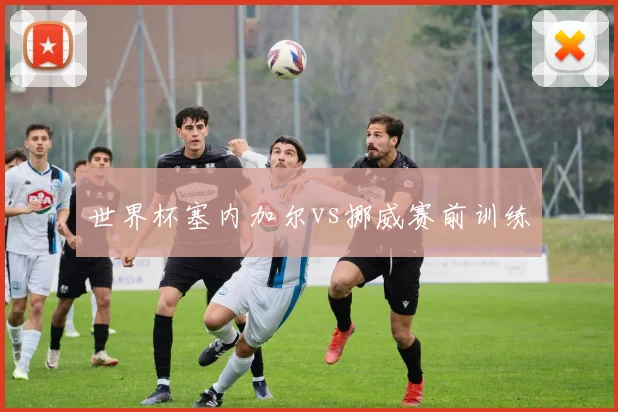 世界杯塞内加尔vs挪威赛前训练