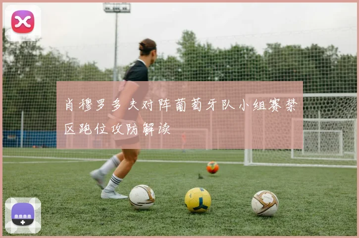 肖穆罗多夫对阵葡萄牙队小组赛禁区跑位攻防解读